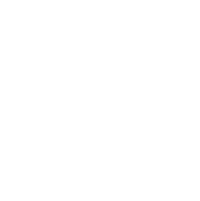 Google Plus icon