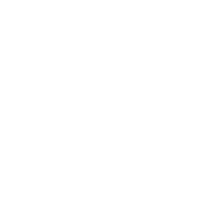 Dribbble icon