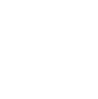 Pinterest icon