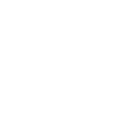 Tumblr icon