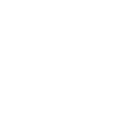 FlickR icon
